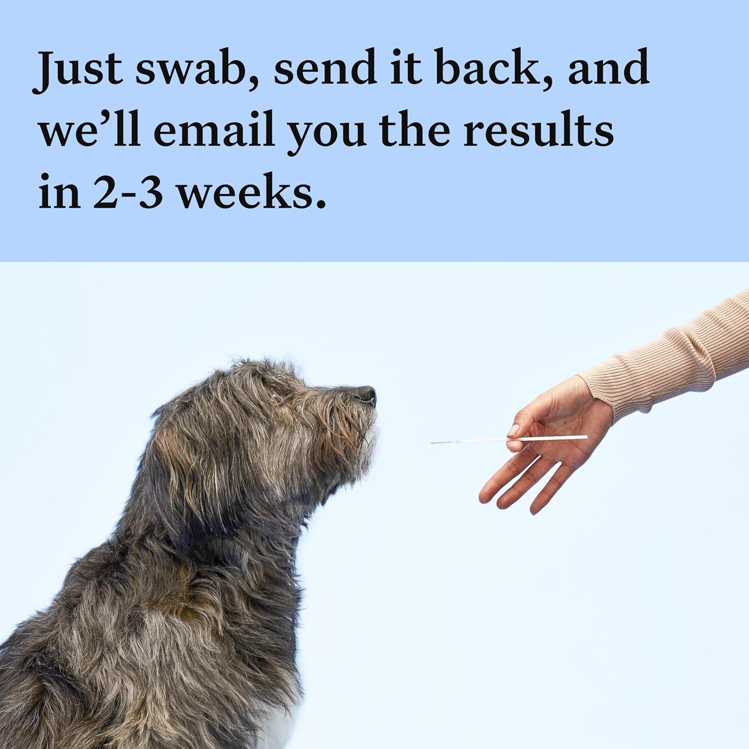Wisdom Panel zur Feststellung von Hunderassen DNA-Test-Kit – przise Rassen-ID MDR1 Abstammung Verwandte