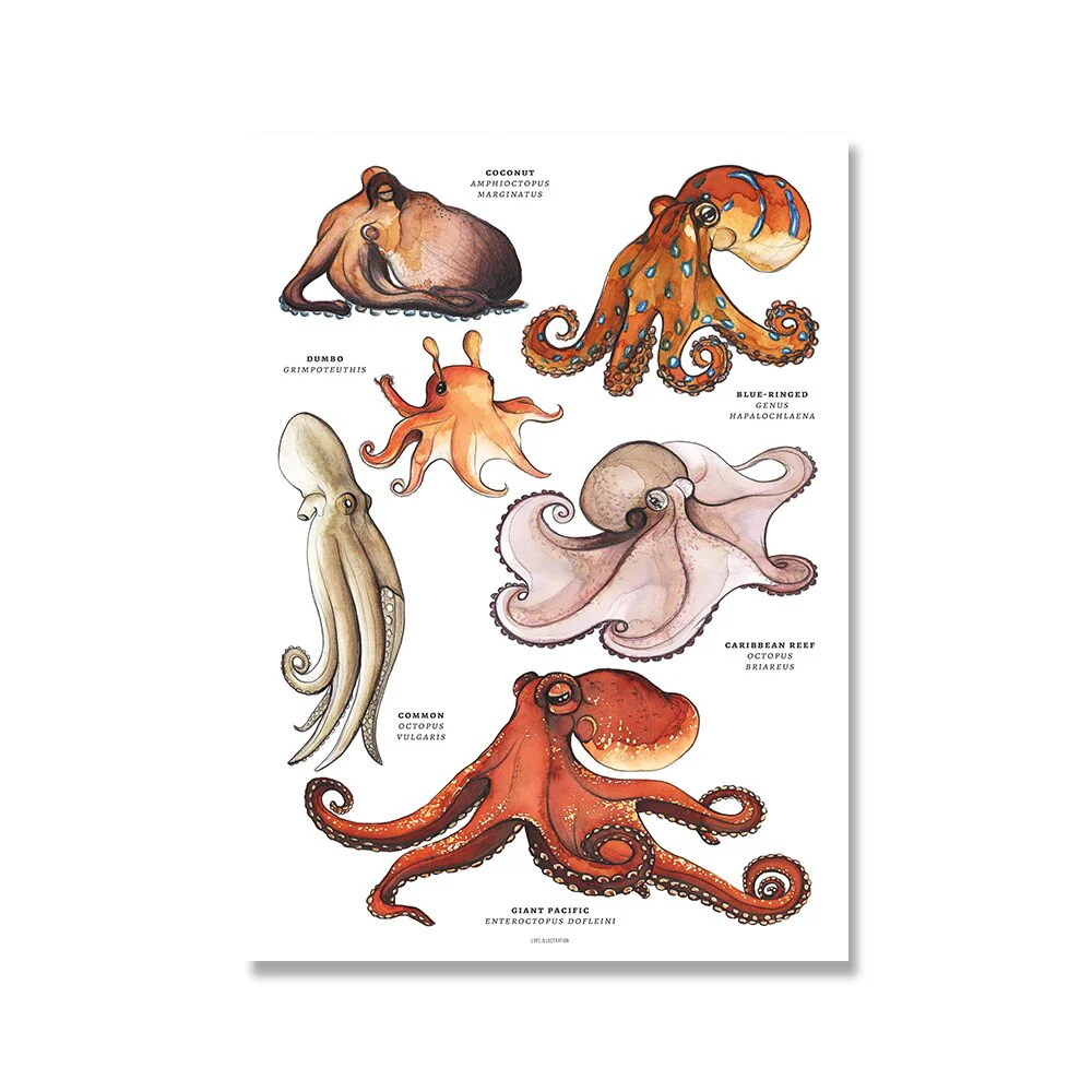 Sea Life Nursery Canvas Art Print - Educational Wall Art for Nursery