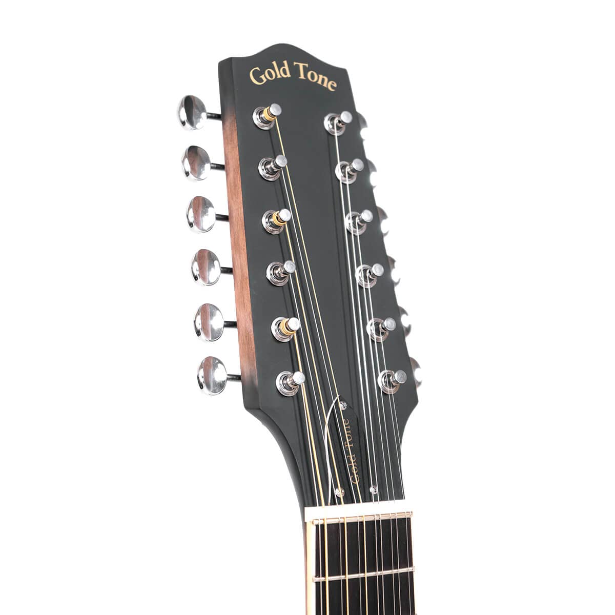 Gold Tone 12 String Mando Guitar Hardshell