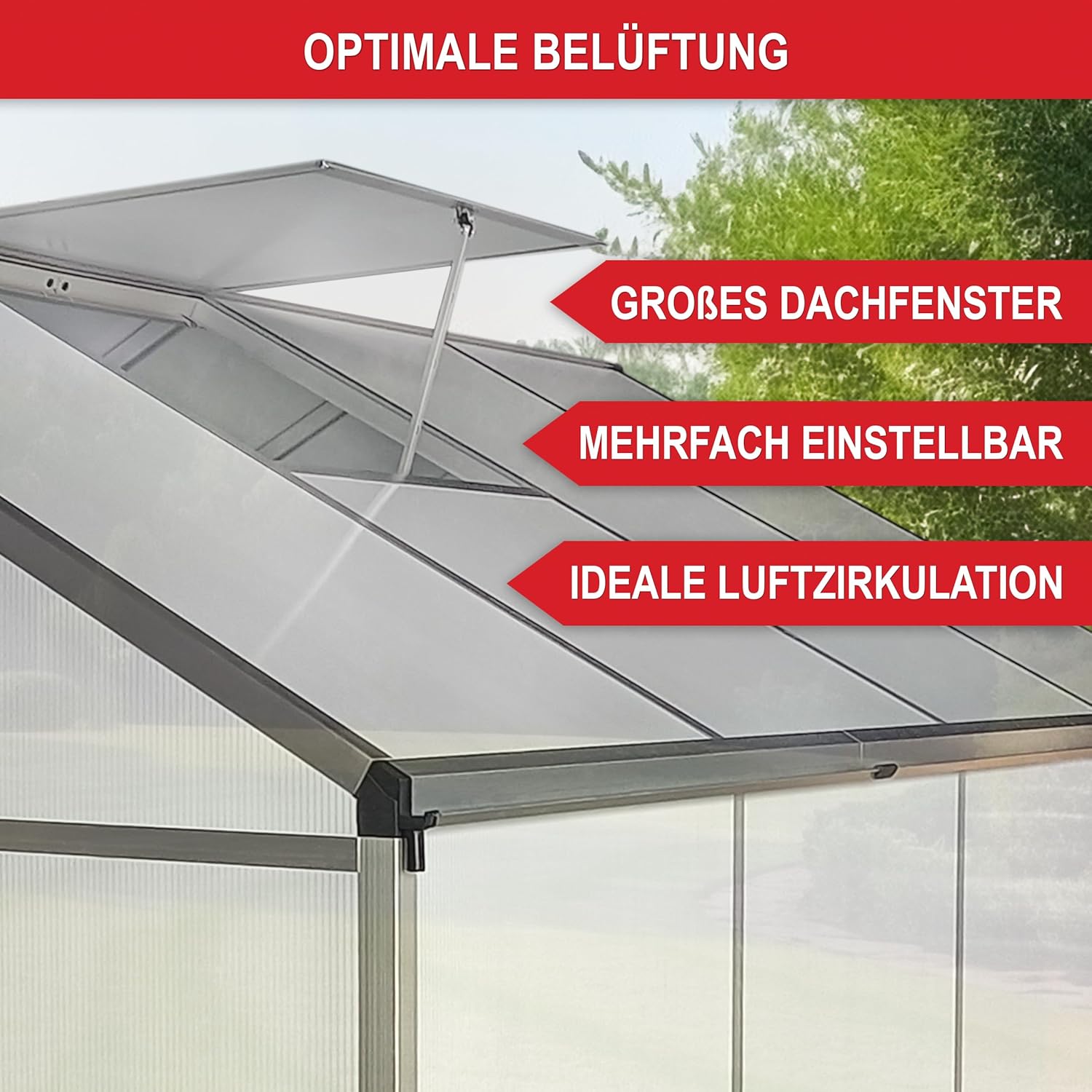 ONBEST stabiles Aluminium Gewächshaus mit Dachfenster – Garten Frühbeet ideal für die Anzucht von Tomaten Blumen – vielseitig nutzbar als Treibhaus, Tomatengewächshaus Pflanzenhaus (M)