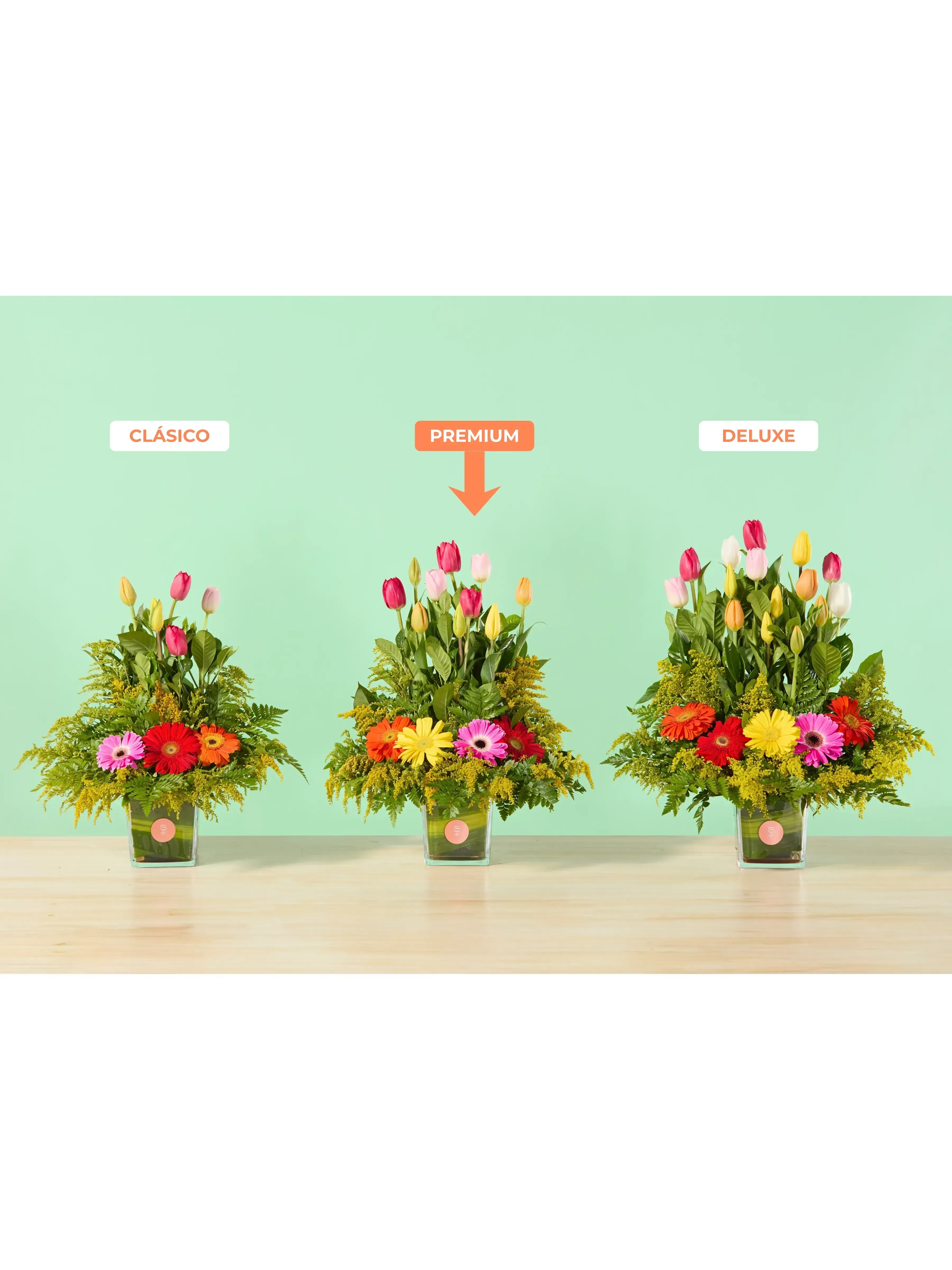 Tulipanes y Gerberas