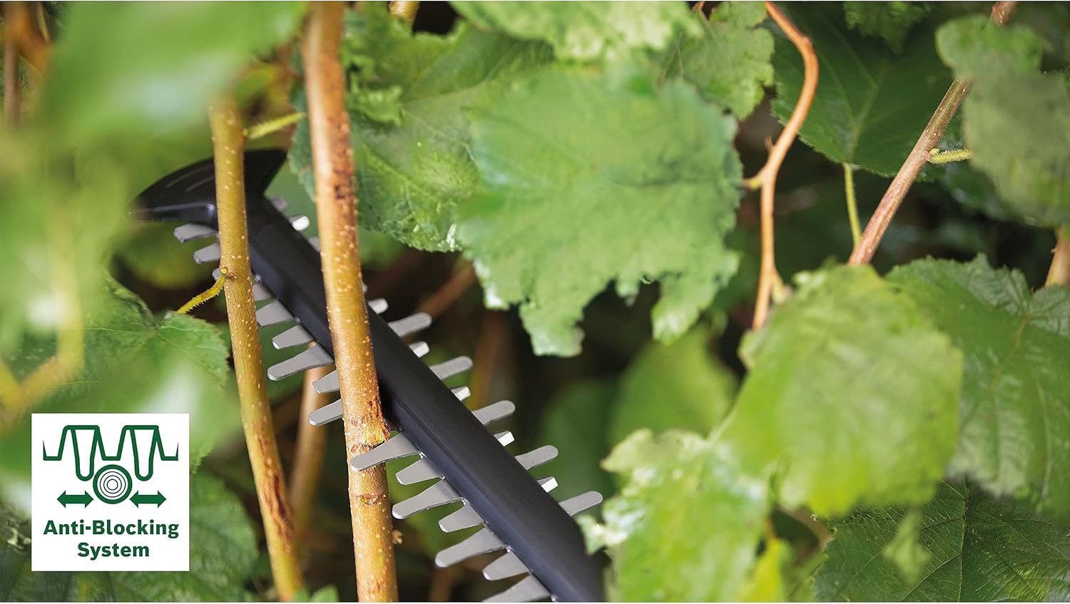Bosch Akku-Heckenschere AdvancedHedgeCut 36V-65-28 (1x 2,0-Ah-Akku, 36-Volt-System, Messerlnge 65 cm, im Karton) - Testnote: sehr gut (Magazin: selbst ist der Mann)
