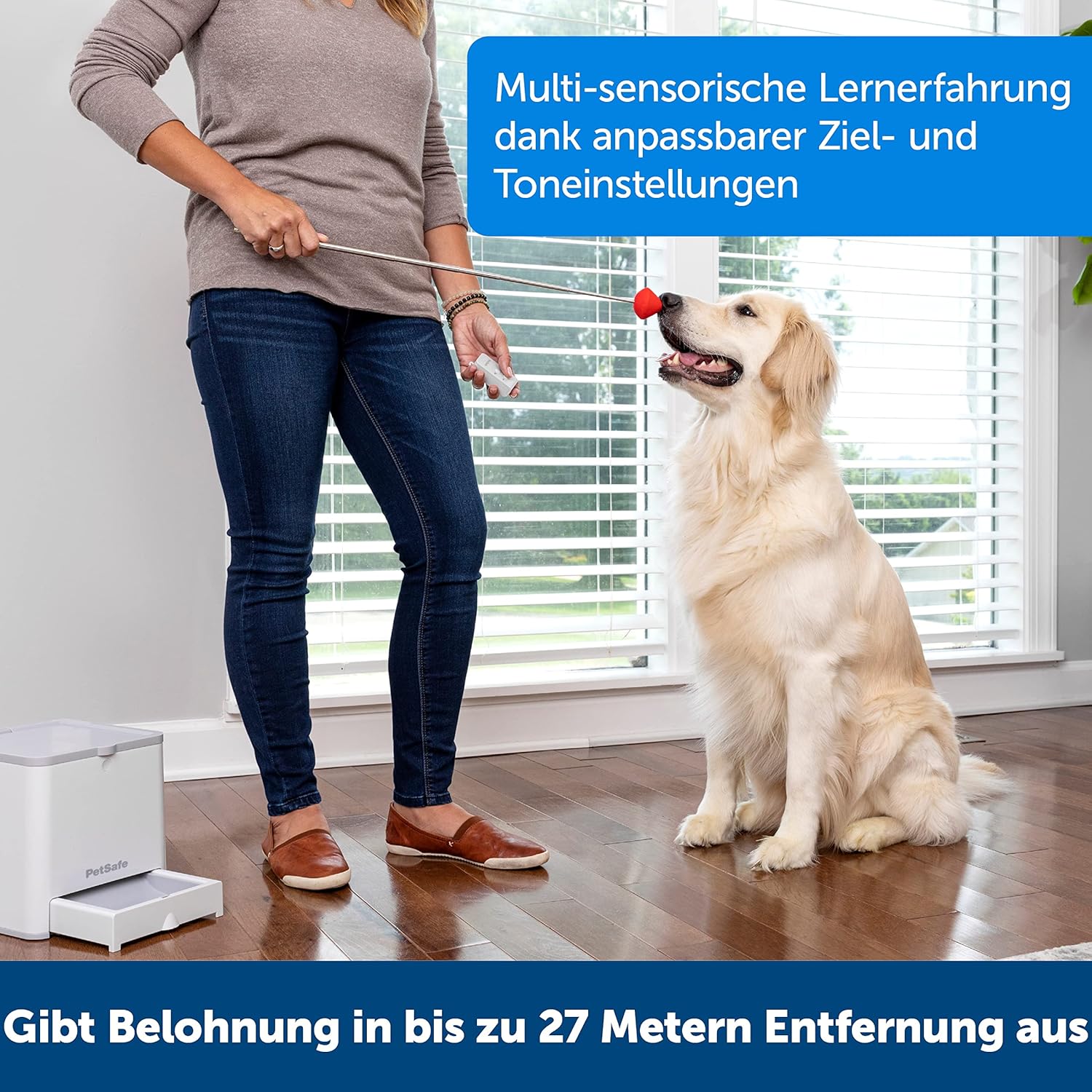 PetSafe Teach und Treat Ferngesteuerter Belohnungstrainer für Hunde, Training und Positive Verstrkung, 4 D Batterien ntig, Grau