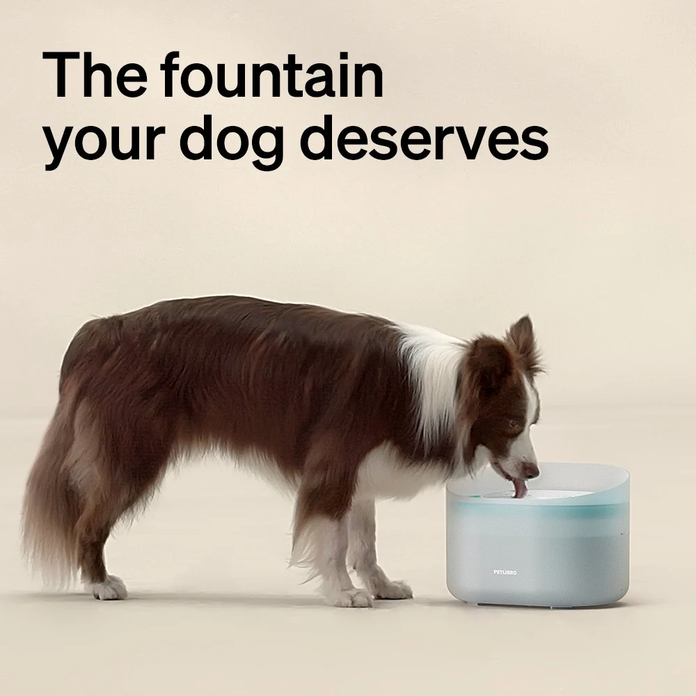 Petlibro Space Automatisch Voerbak en Capsule Combo voor Honden