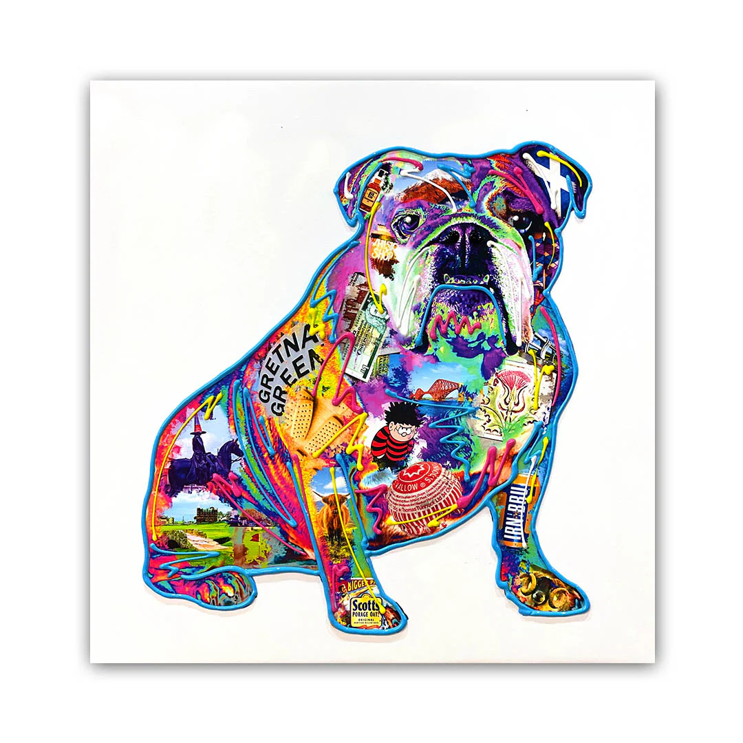 Scottish Bulldog