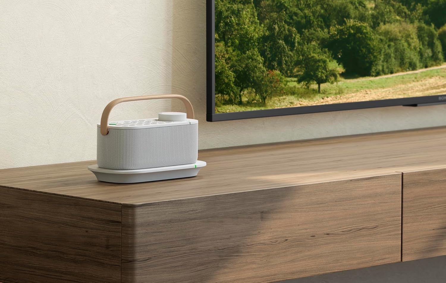 Sony Kabelloser Tragbarer TV-Lautsprecher für Hörgeschädigte und Senioren - Weiß (SRSLSR200.CE7), Einheitsgröße