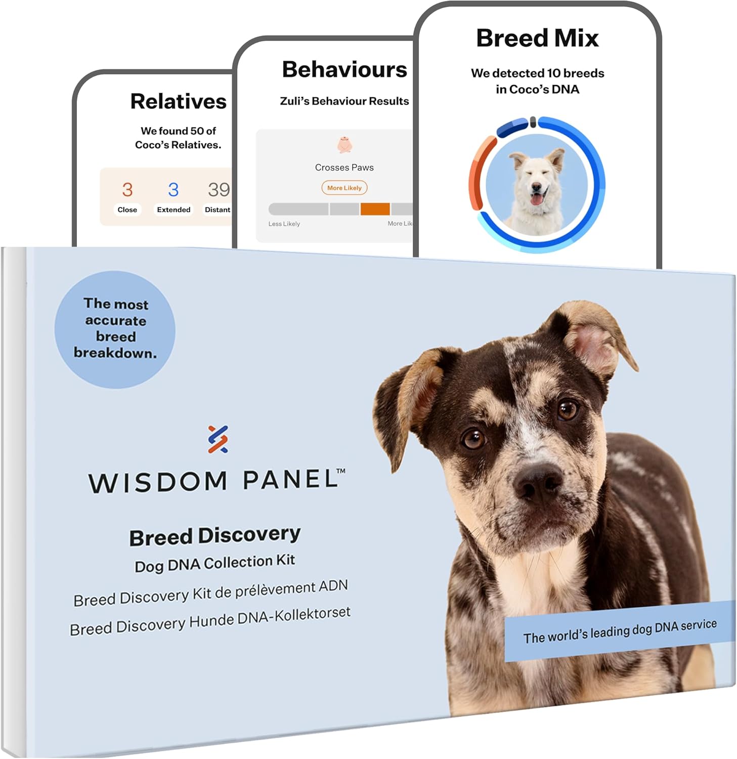 Wisdom Panel zur Feststellung von Hunderassen DNA-Test-Kit – przise Rassen-ID MDR1 Abstammung Verwandte