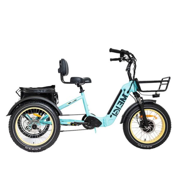 2025 SILVERADO 20 48V/14AH 750W Foldable Fat Tire Electric Trike, 330LBS (96817362)
