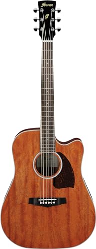 Ibanez Acoustic guitar / PF16MWCEOPN Standard : Strumenti Musicali