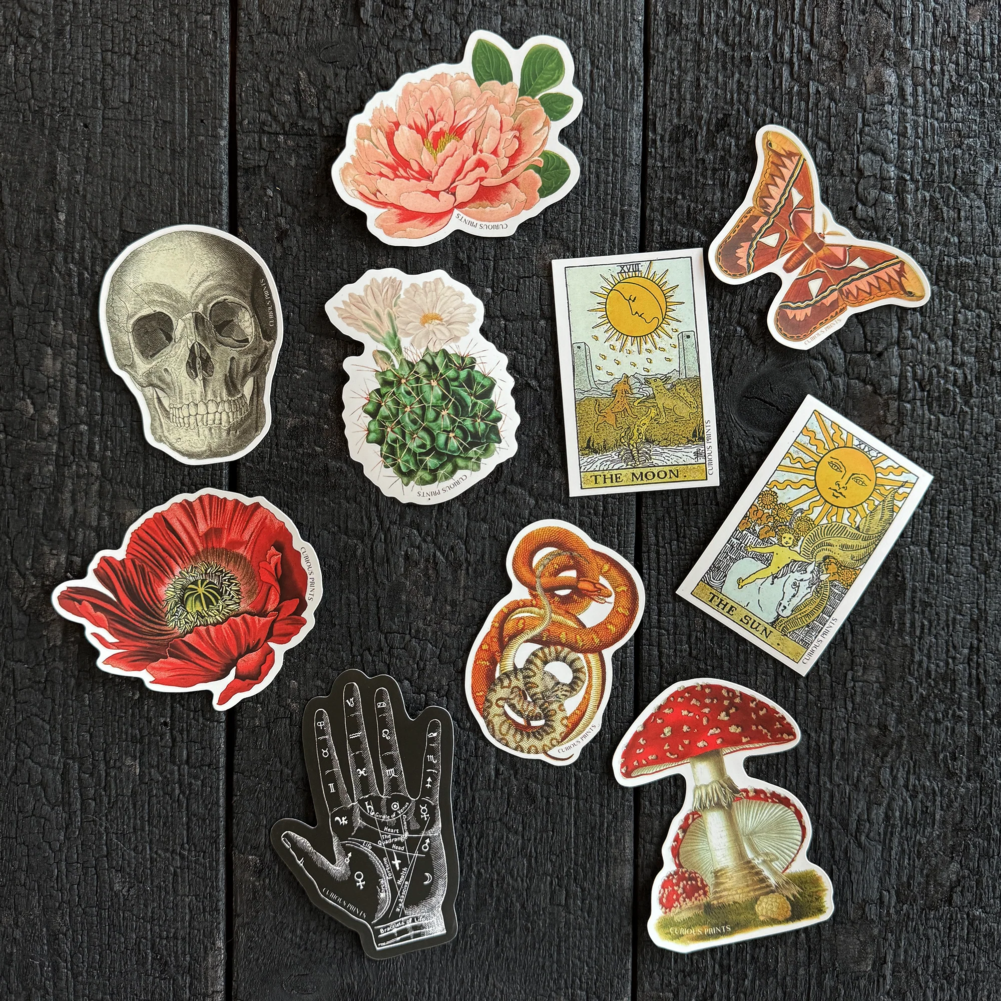 Vintage Botanical Poppy Flower Waterproof Sticker