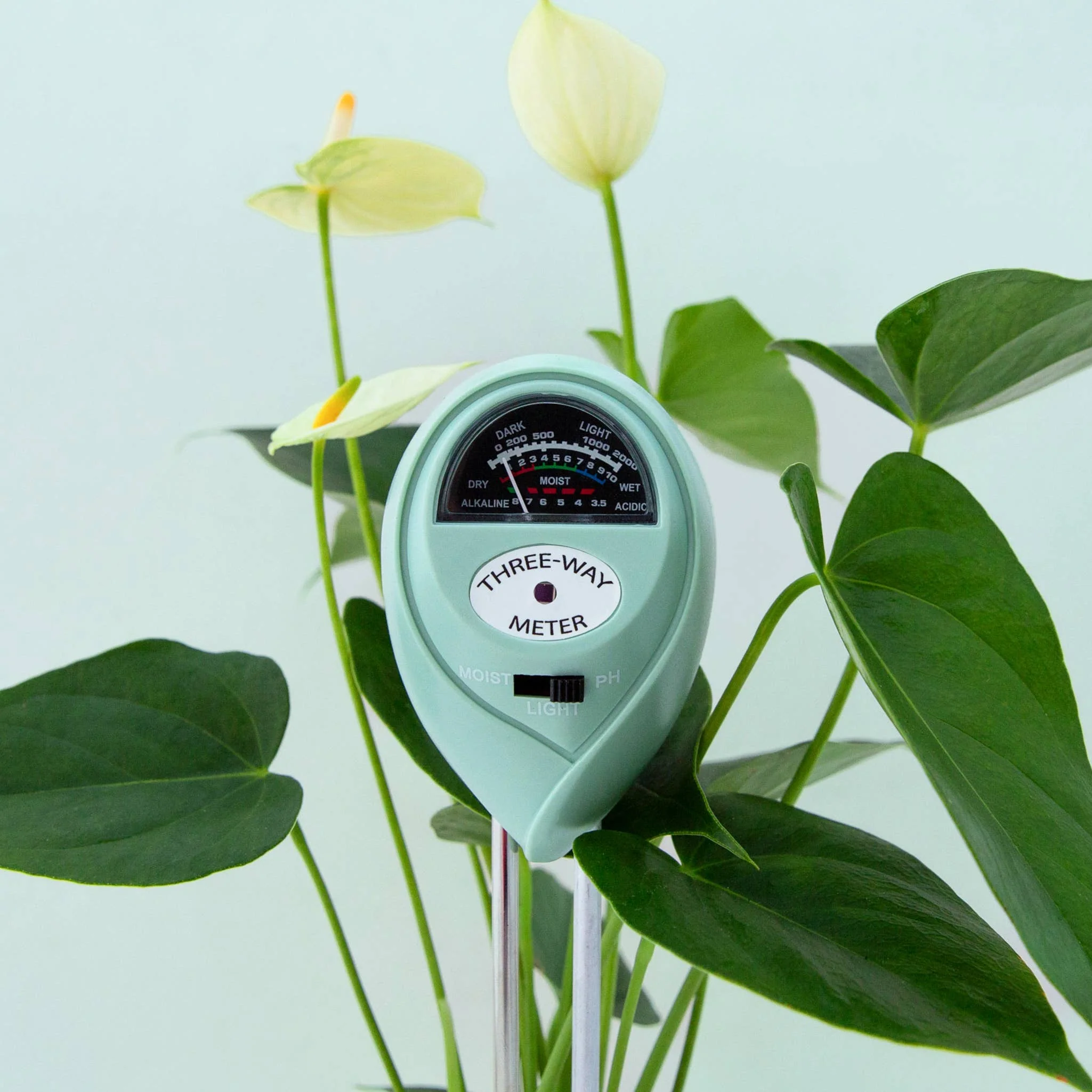 3-in-1 Moisture Meter | Lagoon Jungle Club