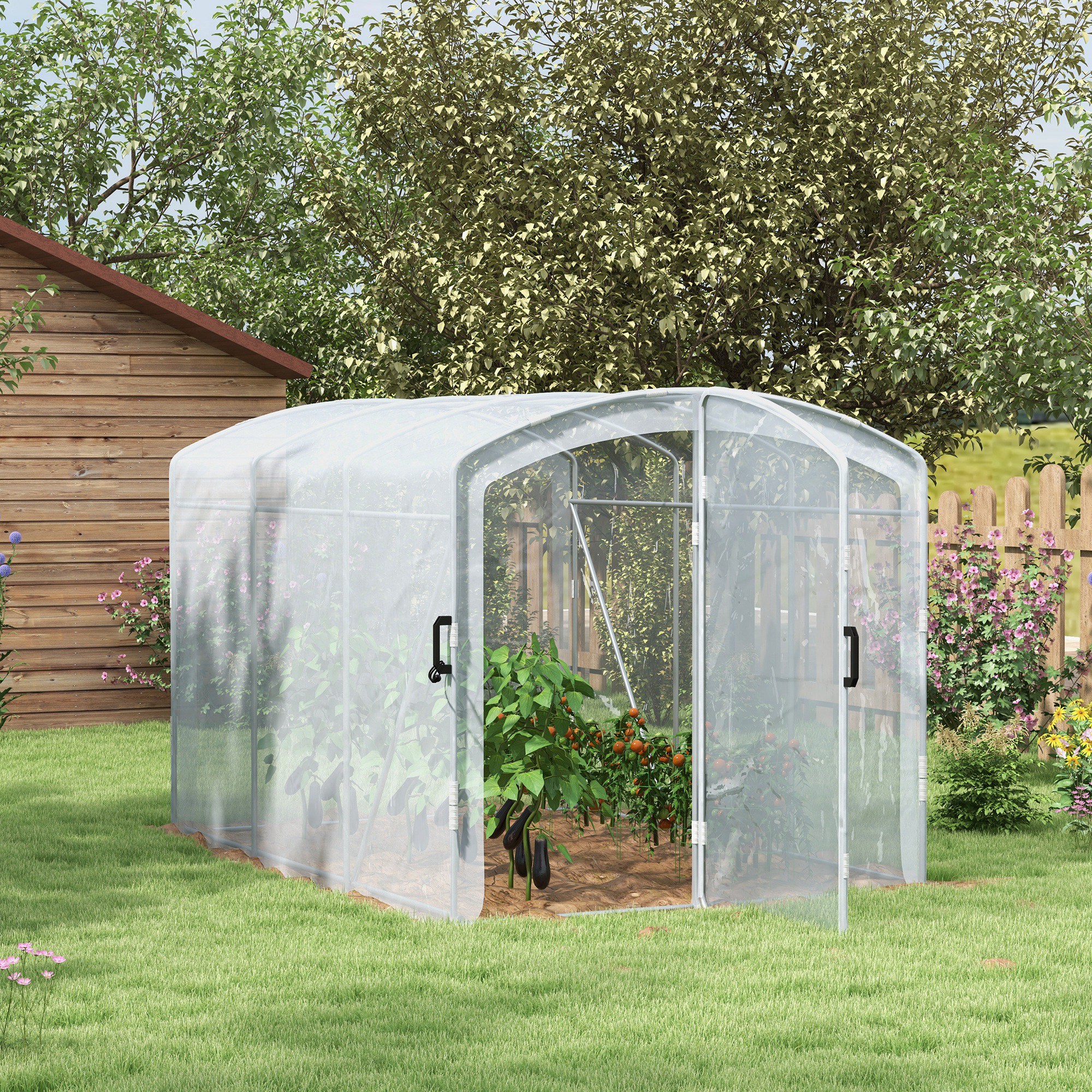Tunnelkas, loopbaar, transparante folie, verzinkt stalen frame, 3 x 2 x 2m