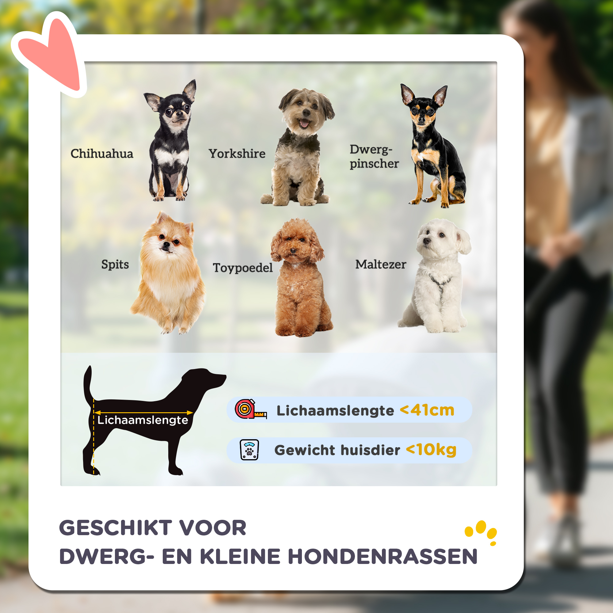 huisdierentrolley hondenbuggy hondenkar