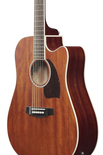 Ibanez Acoustic guitar / PF16MWCEOPN Standard : Strumenti Musicali
