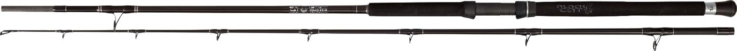 Black Cat Buster 3m 300-500g Wallerrute, Angelrute zum Wallerangeln, Welsrute zum Angeln auf Waller, Wallerangel zum Welsangeln