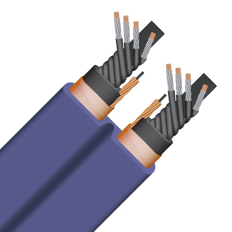 WireWorld Aurora? 10 Power Conditioning Cord