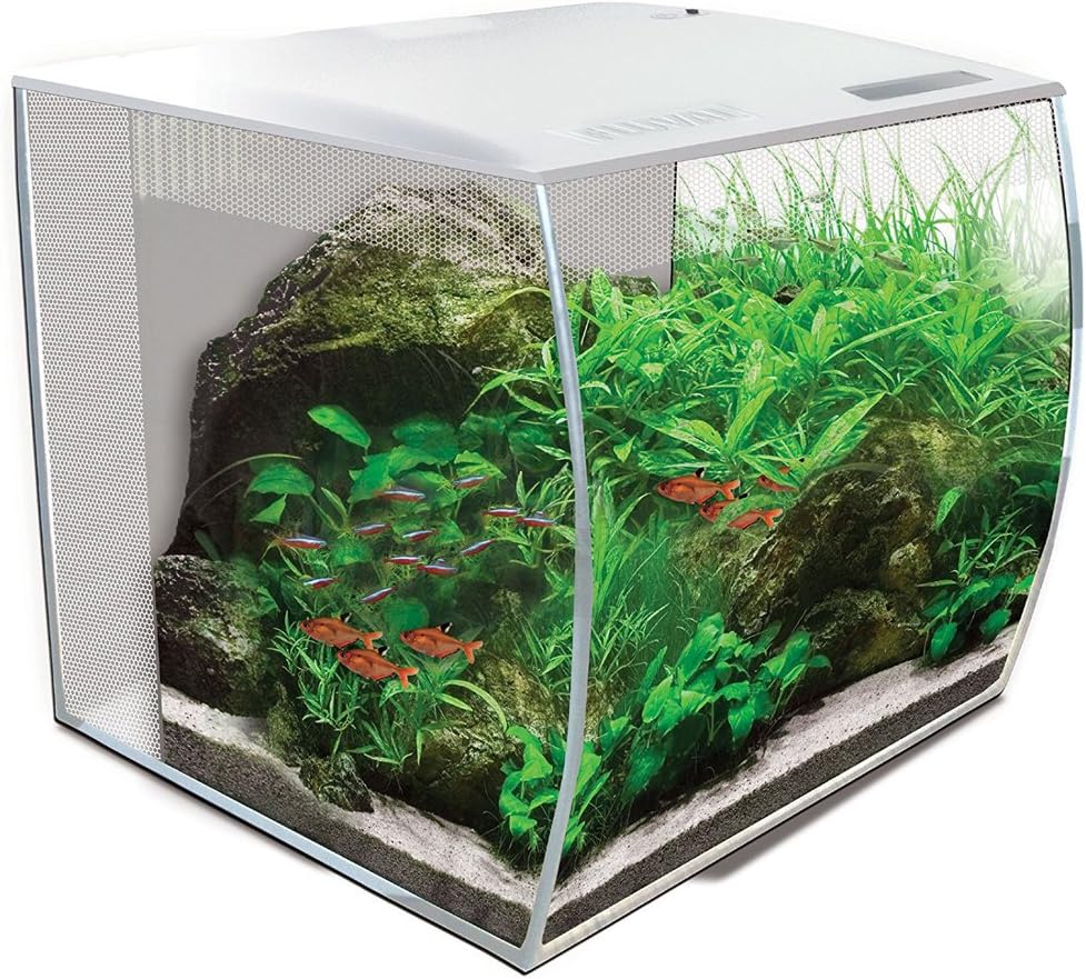 Fluval Flex Aquarium 123L, Süßwasser Aquarium, schwarz