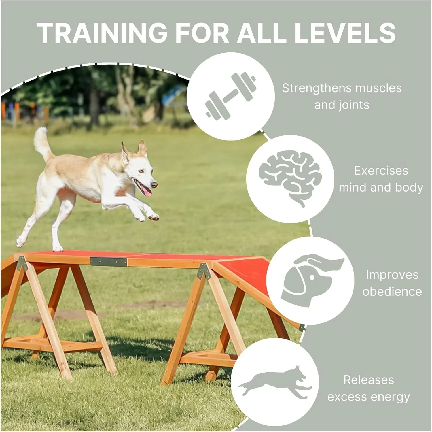 TRIXIE Hunde Agility Steg �C Agility-Ausr��stung f��r Hunde als Laufsteg & Trainingsequipment, wetterfestes Agility-Ger?t f��r Anf?nger & Fortgeschrittene, 456 x 64 x 30 cm - 32090