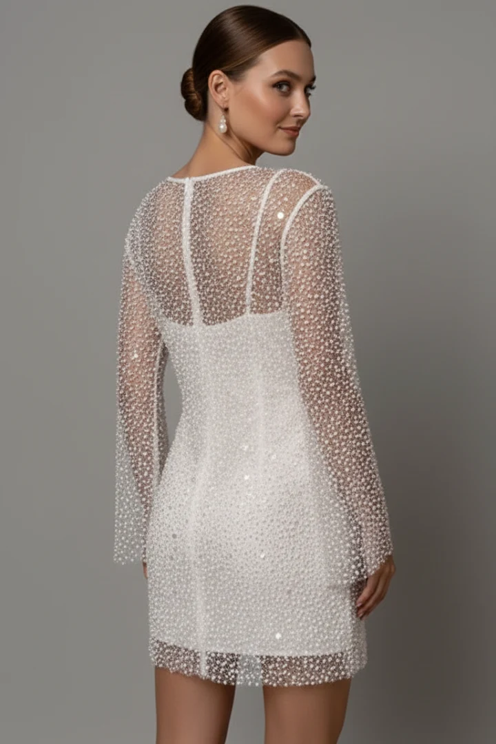 Damen Minikleid mit Mesh-Overlay und langen ?rmeln - Zweiteiliges Design mit ?rmellosem Unterkleid und Rundhalsausschnitt