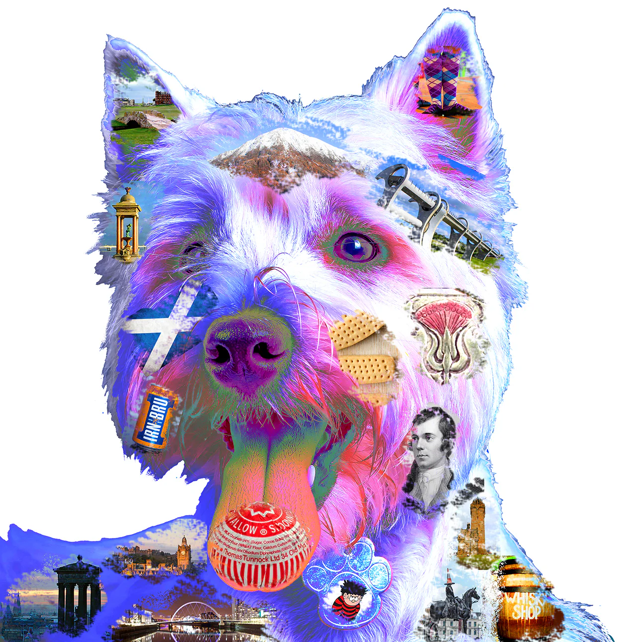 Scottish Westie