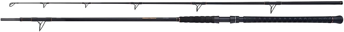 SHIMANO Beastmaster AX Catfish, 3m, 9,84ft, 0-400g, 2 Teile, Wels Angelrute, Moderate Fast, SBMCAXB300