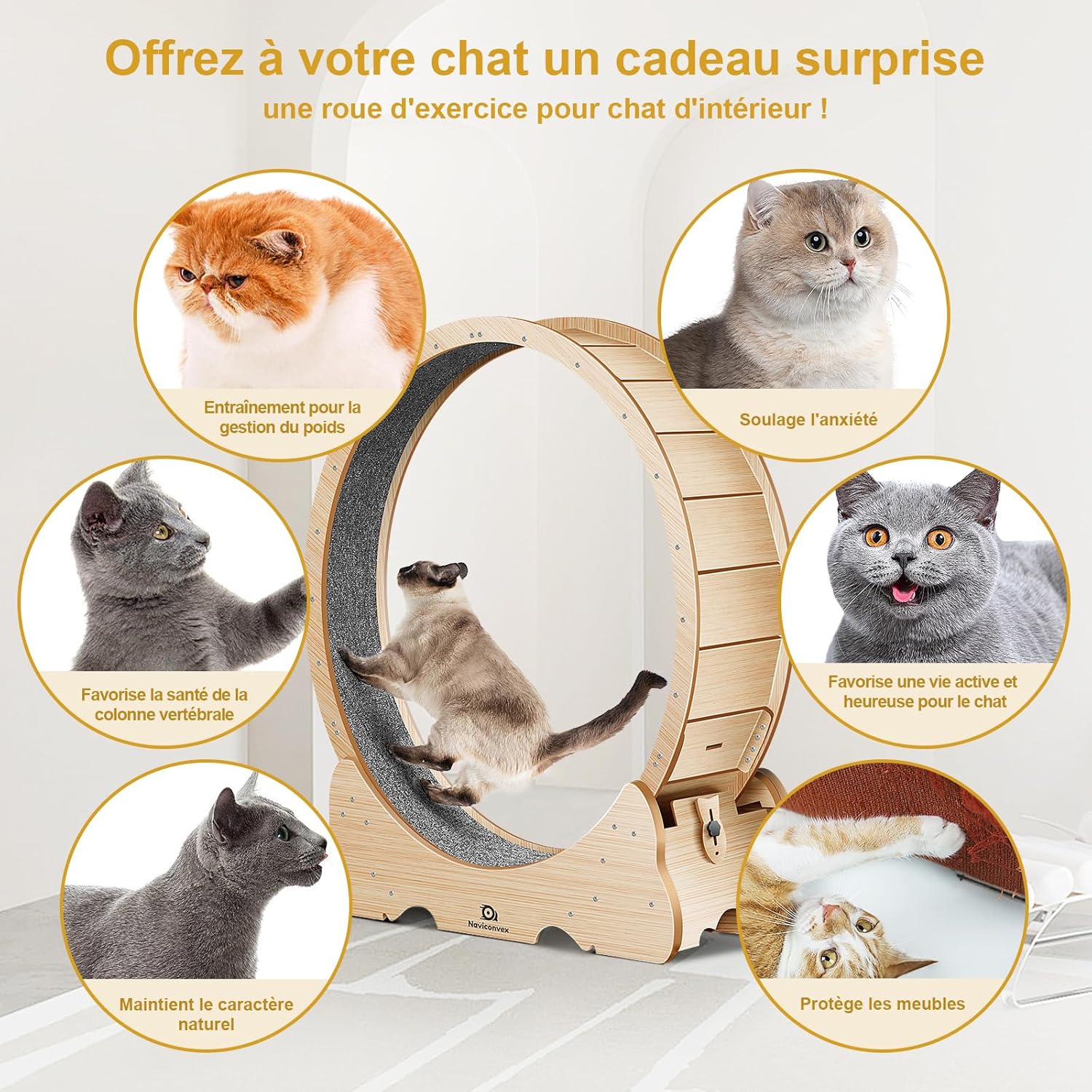 Naviconvex Katzenlaufrad laufrad Katze Laufen Laufrad Katze Laufen Super Leise Katzen Laufrad Laufrad für Katzen Laufrad Katze Katzenrad Katzenlaufrad XL Holzfarbe