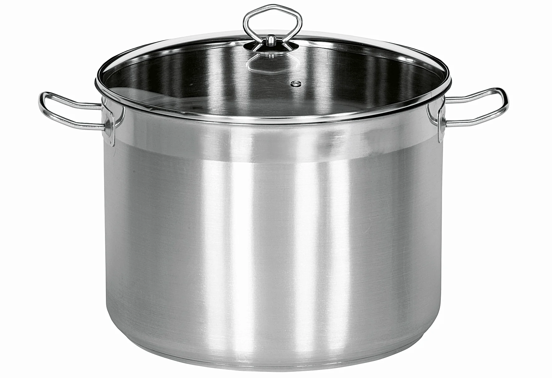 Maxi Universele Kookpan 20 l RVS met Glazen Deksel