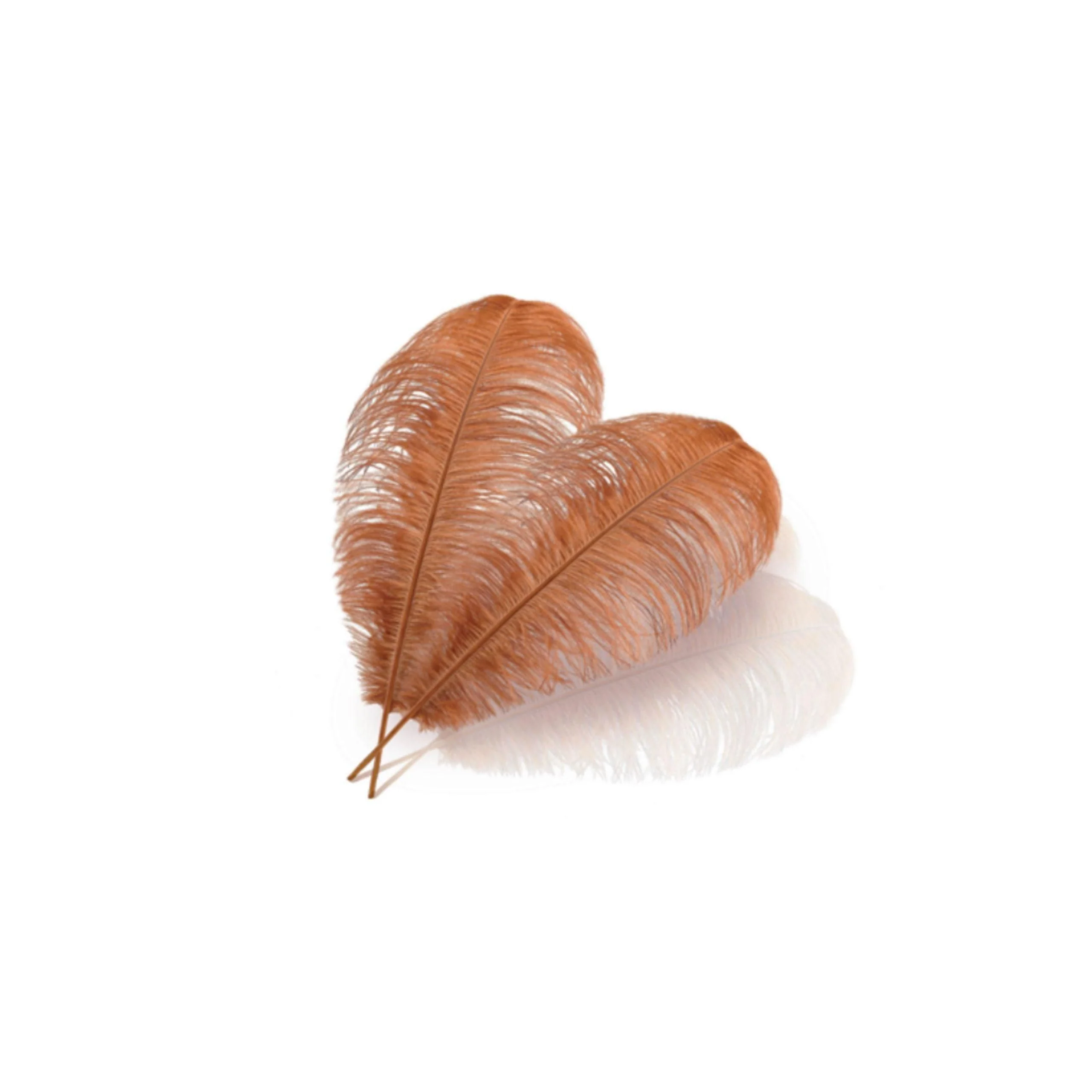 Sperience Ritual Massage Feathers