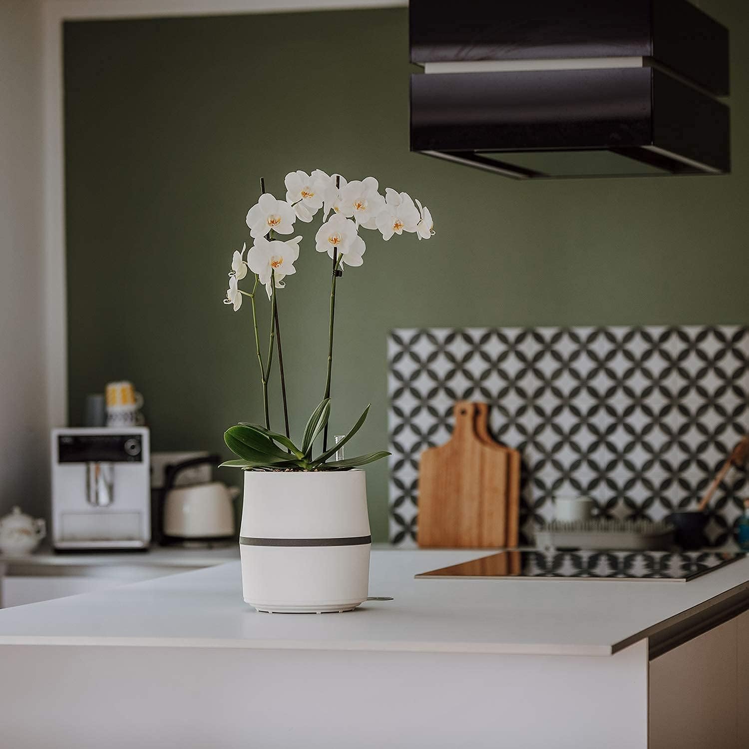 AIRY Luftreiniger System S inkl. Bogenhanf & 3-Liter Airy Base • Natürlicher Luftfilter beseitigt Schadstoffe, Allergene & Gerüche • Ideal für Räume mit ca. 10qm • 1317-613 anthrazit-grau