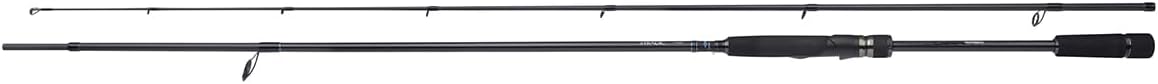 SHIMANO Angelrute Stradic Spinning 2,69m 21-56g 2 Stück