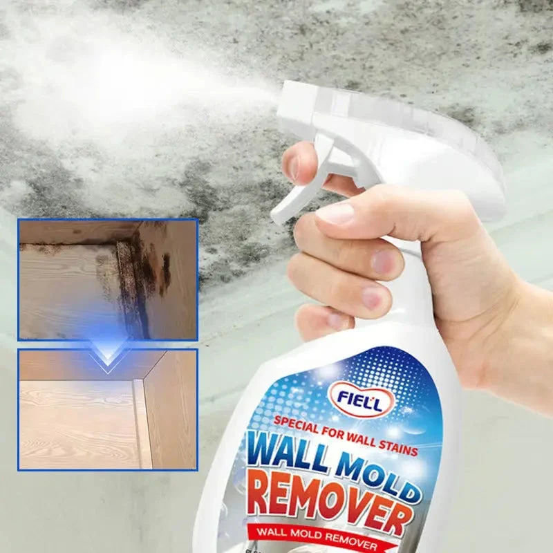Anti-Schimmel Spray für Wände & Tapeten | Effektiver Schimmelentferner gegen Stockflecken | 240ml Schutz ohne Formaldehyd