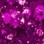Metallic Glitzer