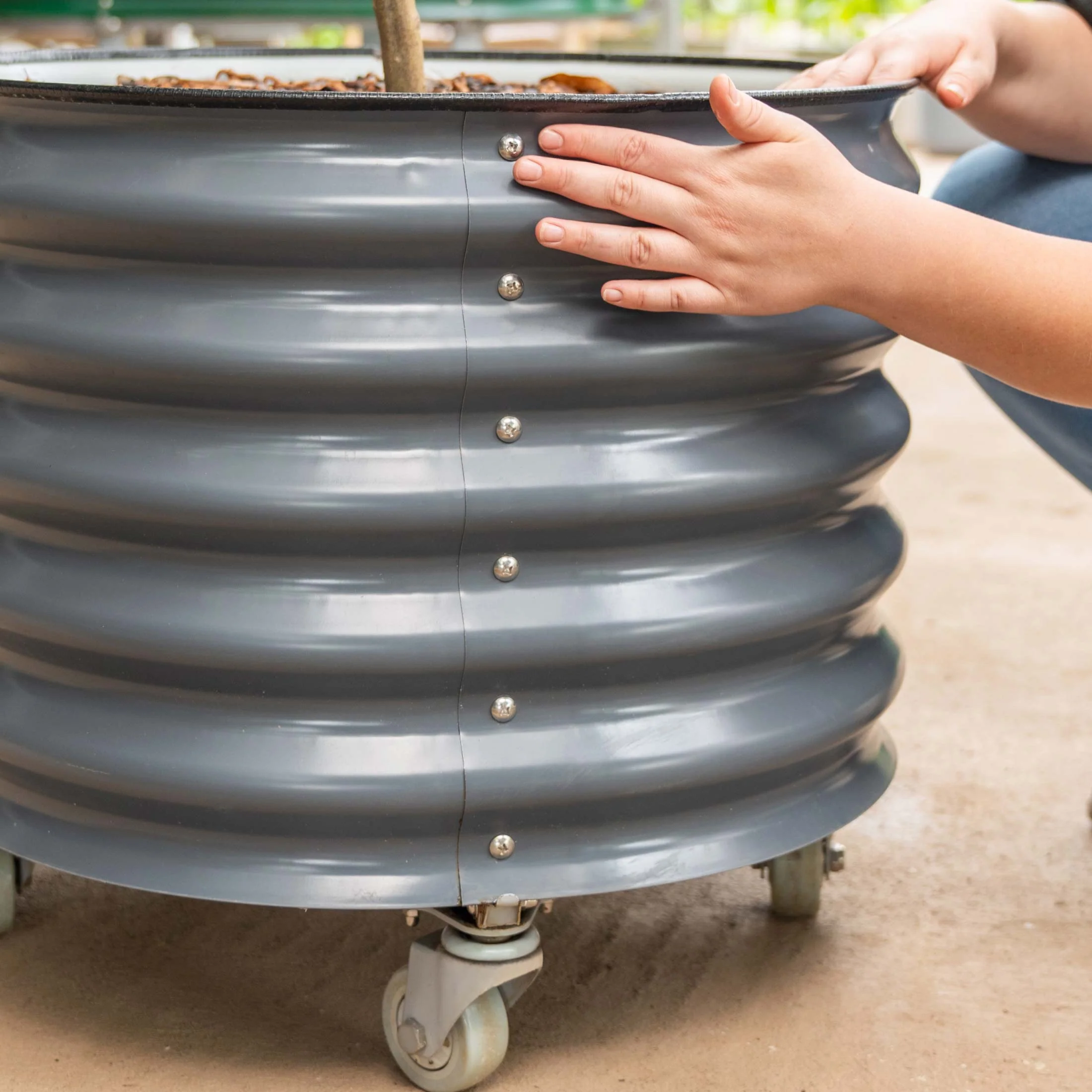 Brits Groen + Zelfbewaterende Rollende Citrusboom Planter