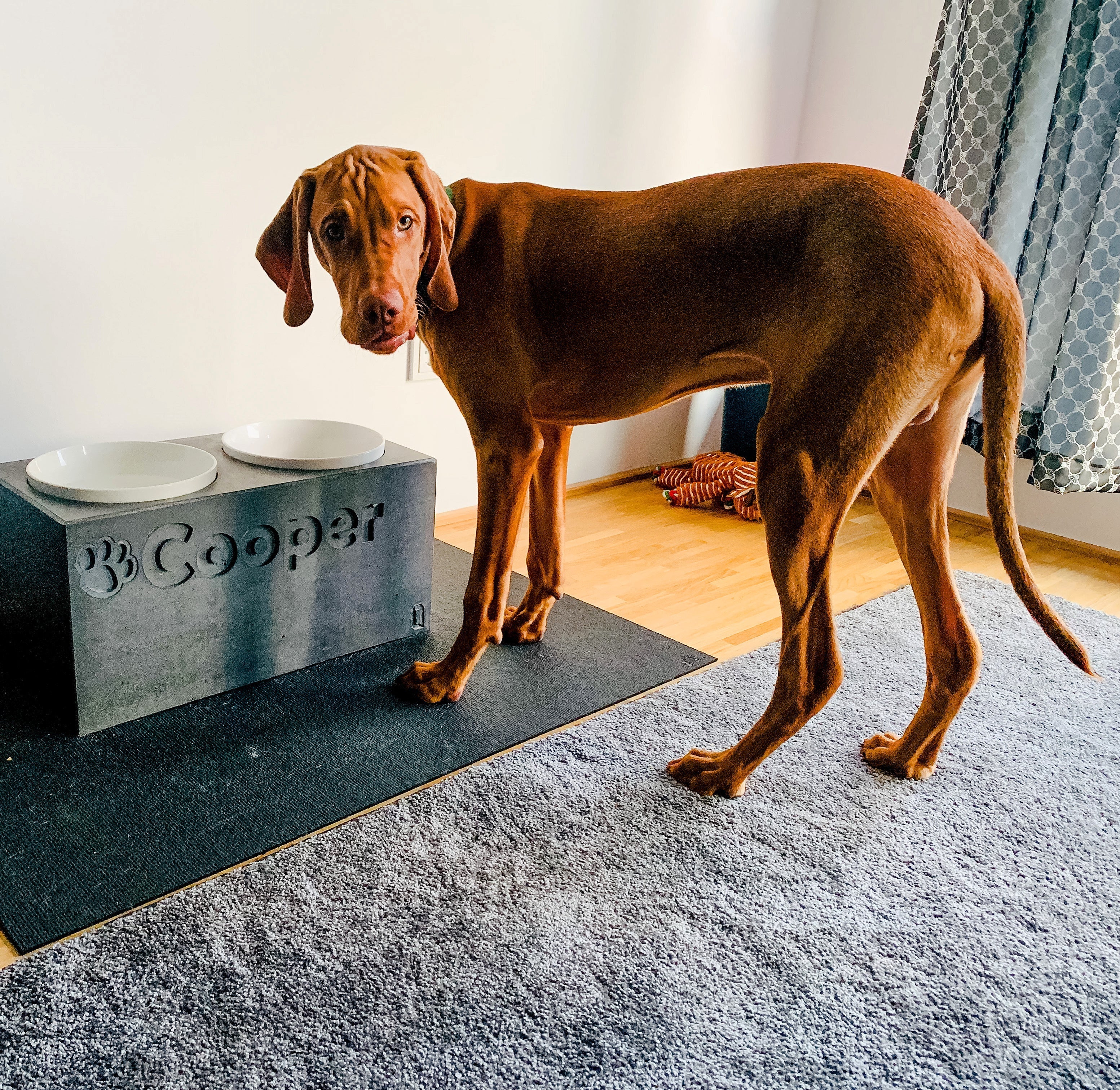 Futterstation Hund PATERA DUO Personalisiert