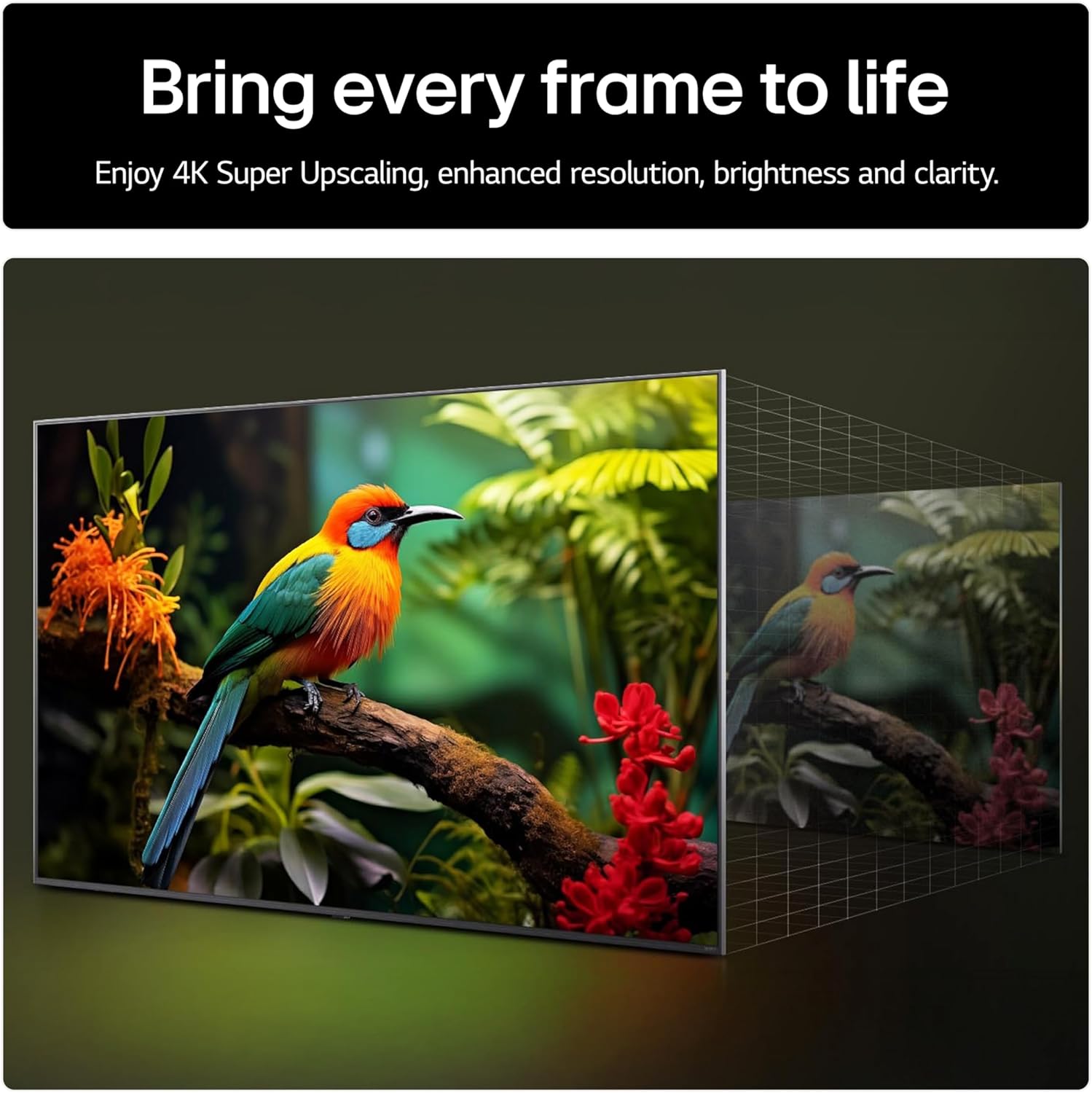 LG 50UA73006LA 50 Zoll 4 K TV