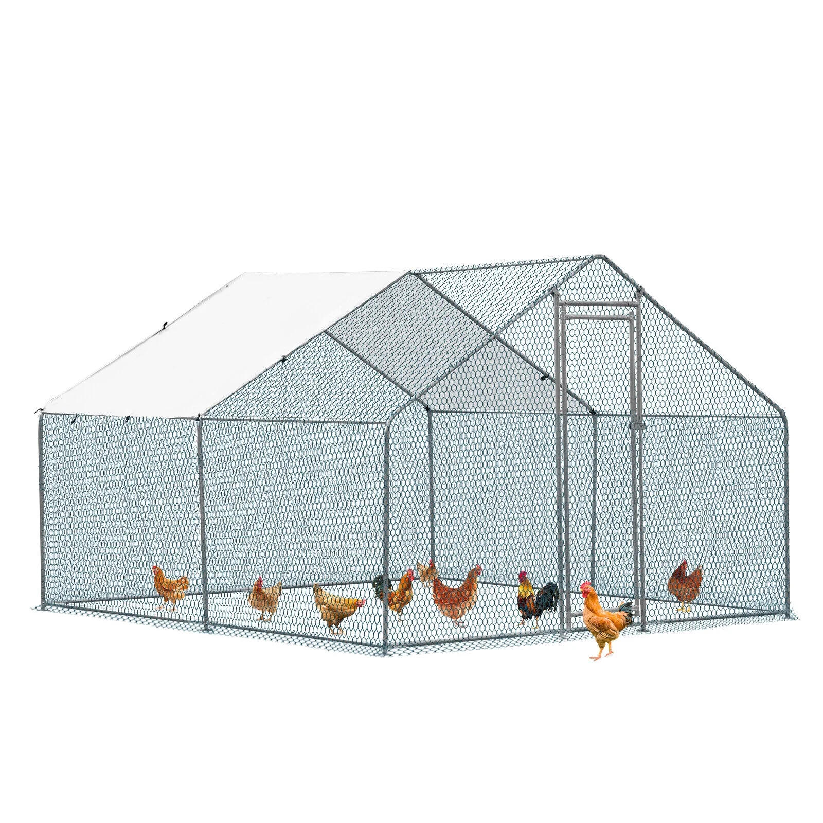 2025 ZGBY Grote Metaal Kippenhok 10 x 10 Voet, Kraal voor Vogels met Toegang voor Mensen