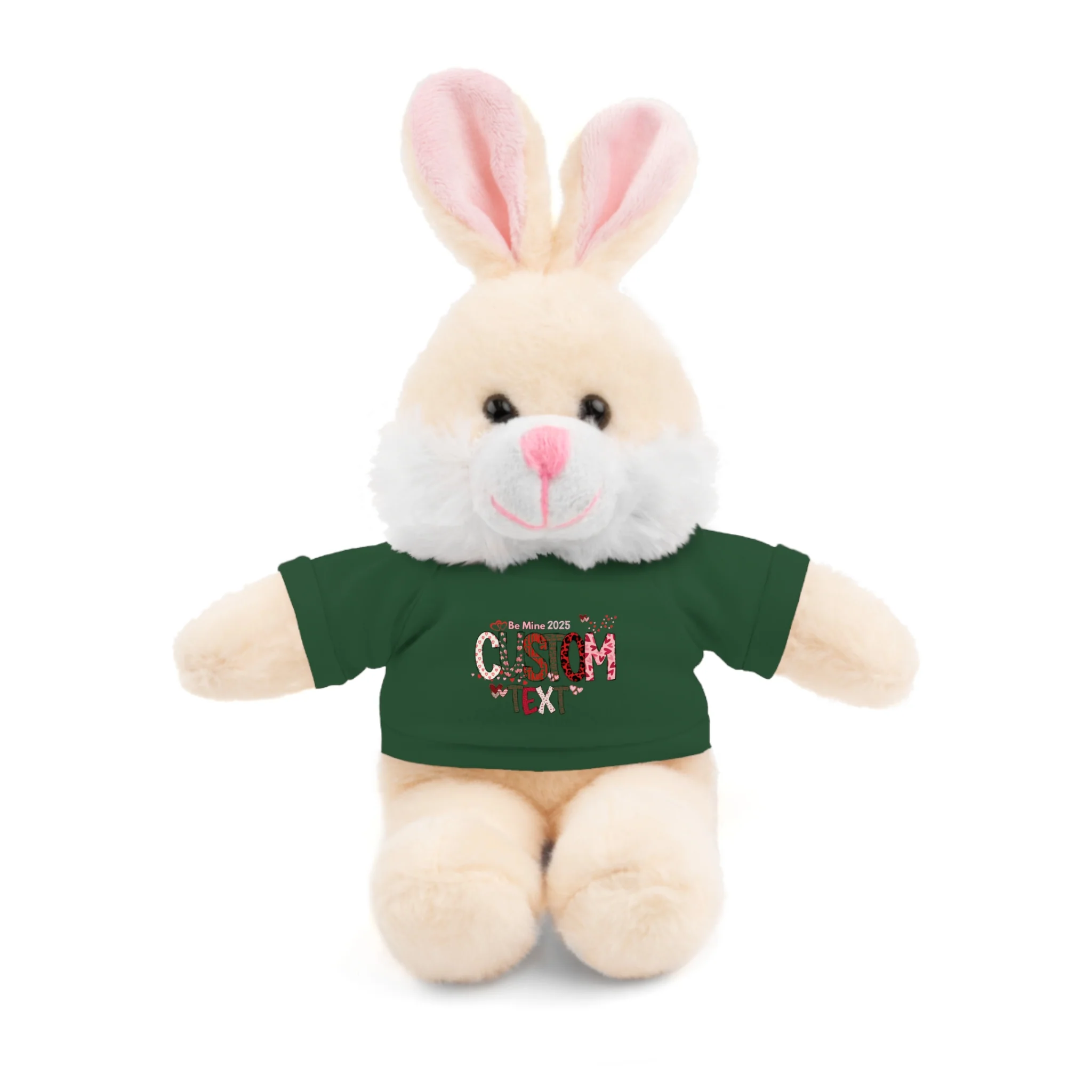 Stuffed Animals with Tee, Custom Text, Valentines Gift bear