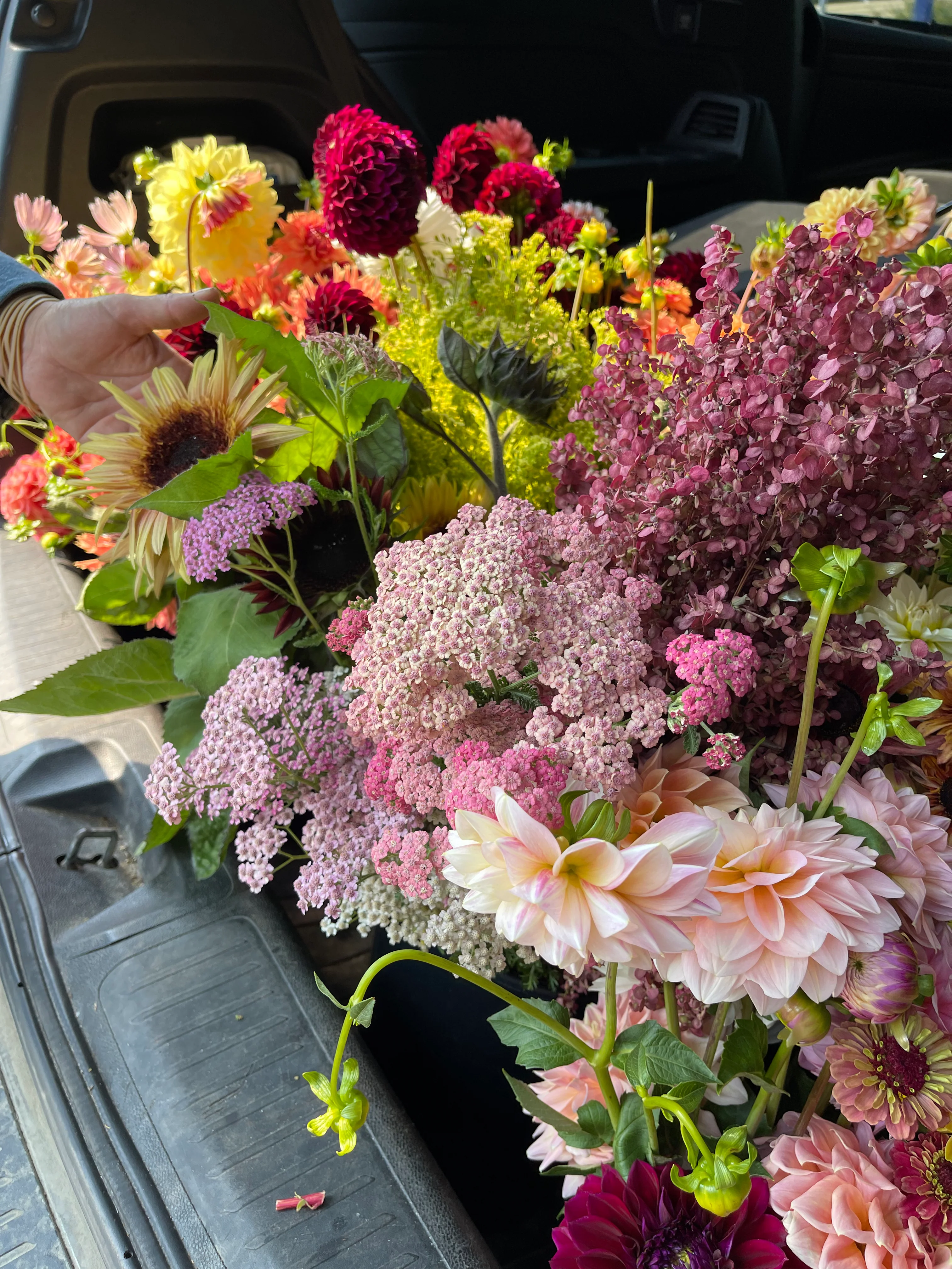 NEW! WEST SEATTLE | Friday Flower Therapy