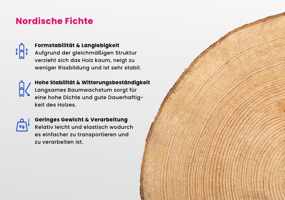 Alpholz Gartenhaus Maria mit Anbau & Schleppdach aus naturbelassenem Holz mit 40mm Wandstärke 598 x 272 cm