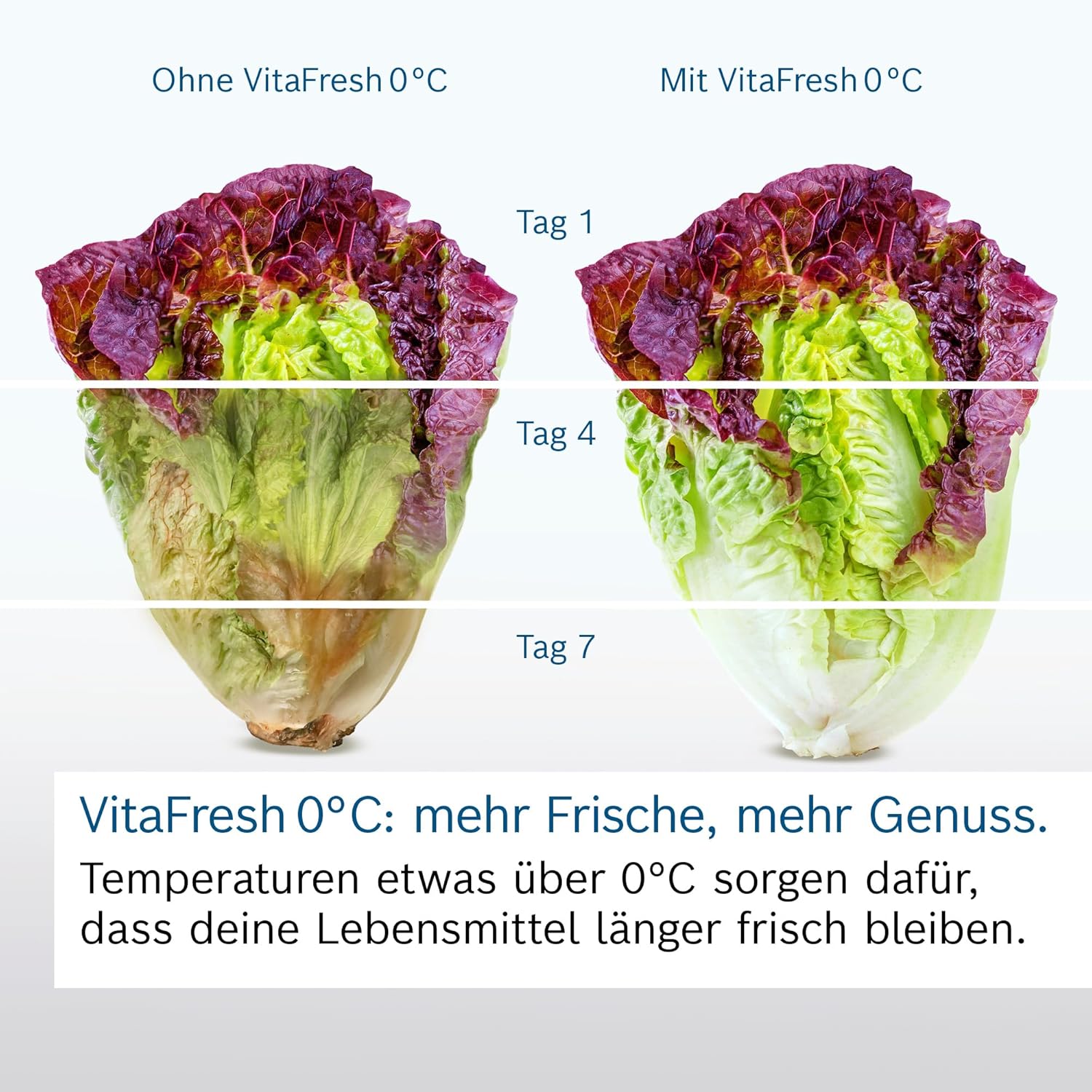 Bosch KGE398IBP, Serie 6, Kühl-Gefrier-Kombination, 201 x 60 cm, 249 L Kühlen  und  94 L Gefrieren, LowFrost, BigBox für Gefriergut, längere Frische mit VitaFresh, Leise mit 38 dB, LED, AntiFingerprint