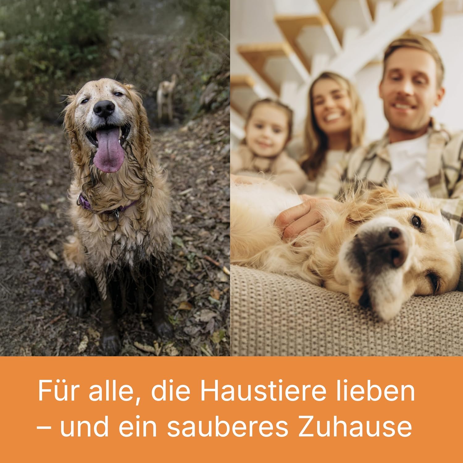 THOMAS Aqua+ PET & Family – 1700W starker Staubsauger für Tierhaare – Nasssauger & Trockensauger - Polsterreiniger & Staubsauger mit Wischfunktion für Teppich, Sofa, Polster & Matratze
