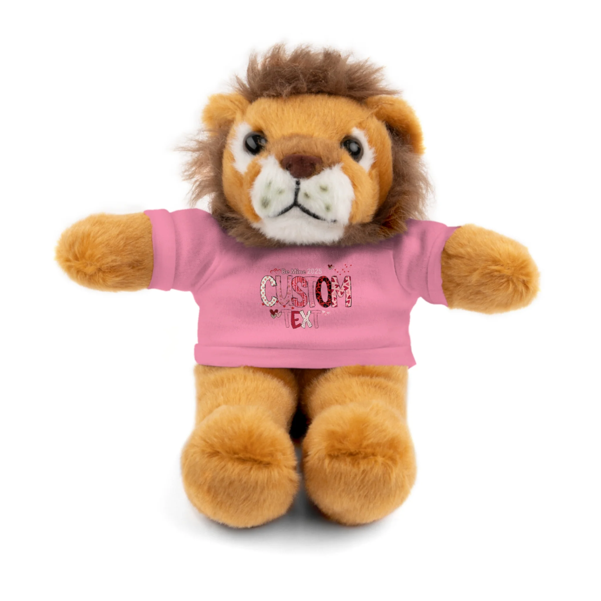 Stuffed Animals with Tee, Custom Text, Valentines Gift bear