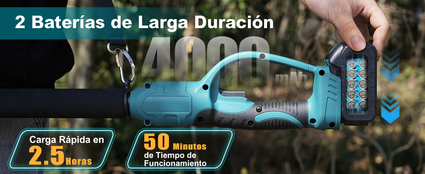 Motosierra Bateria