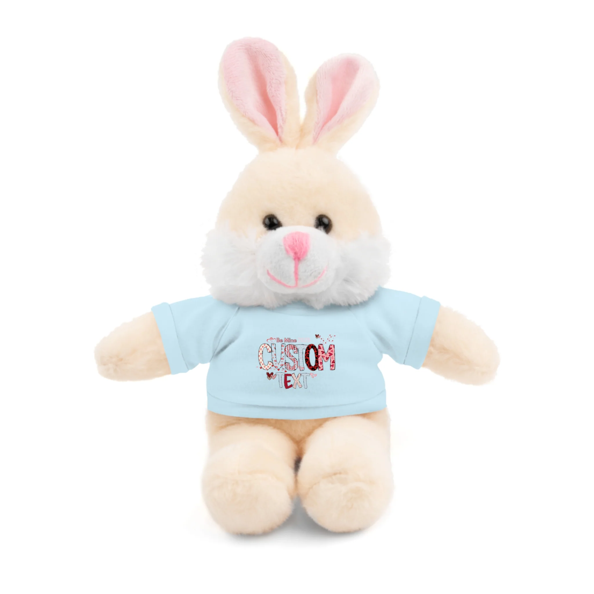 Stuffed Animals with Tee, Custom Text, Valentines Gift bear