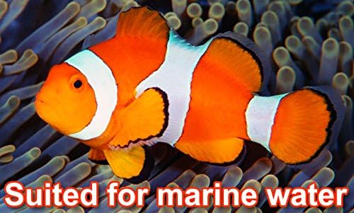 AquaForte O-20000 Plus, 200 Watt, max. Durchfluss 19 m3/Stunde, max. Förderhöhe 7 Meter, Kabellänge 10 Meter, für Wasserläufe, Wasserfälle, Springbrunnen, Filter usw, Schwarz