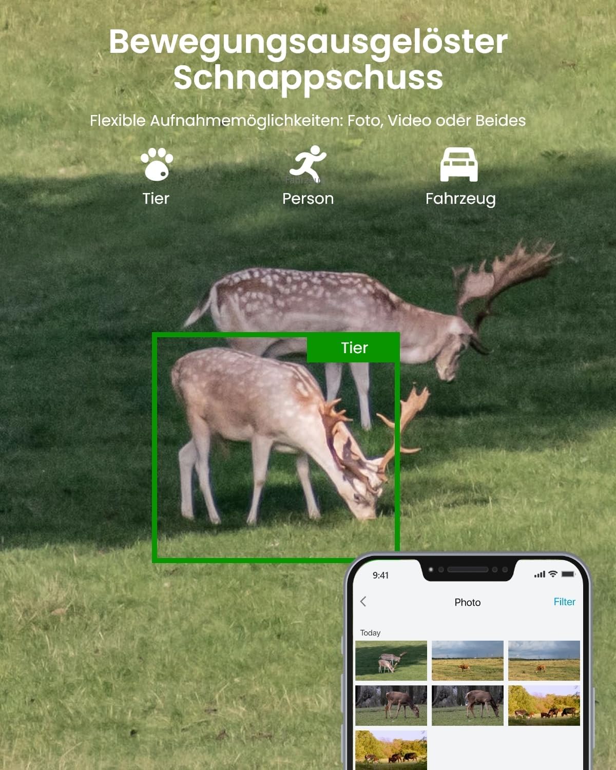 Reolink 4K 4G LTE Überwachungskamera mit SIM-Karte, Dual-Objektiv, Auto-Tracking, Wildkamera Solar Akku Ohne WLAN, 6X Hybrid-Zoom, No-Glow IR, IP65 für Wildtiere, TrackMix LTE Trail + Solarpanel