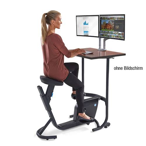 LifeSpan Schreibtischfahrrad UNITY Desk Bike