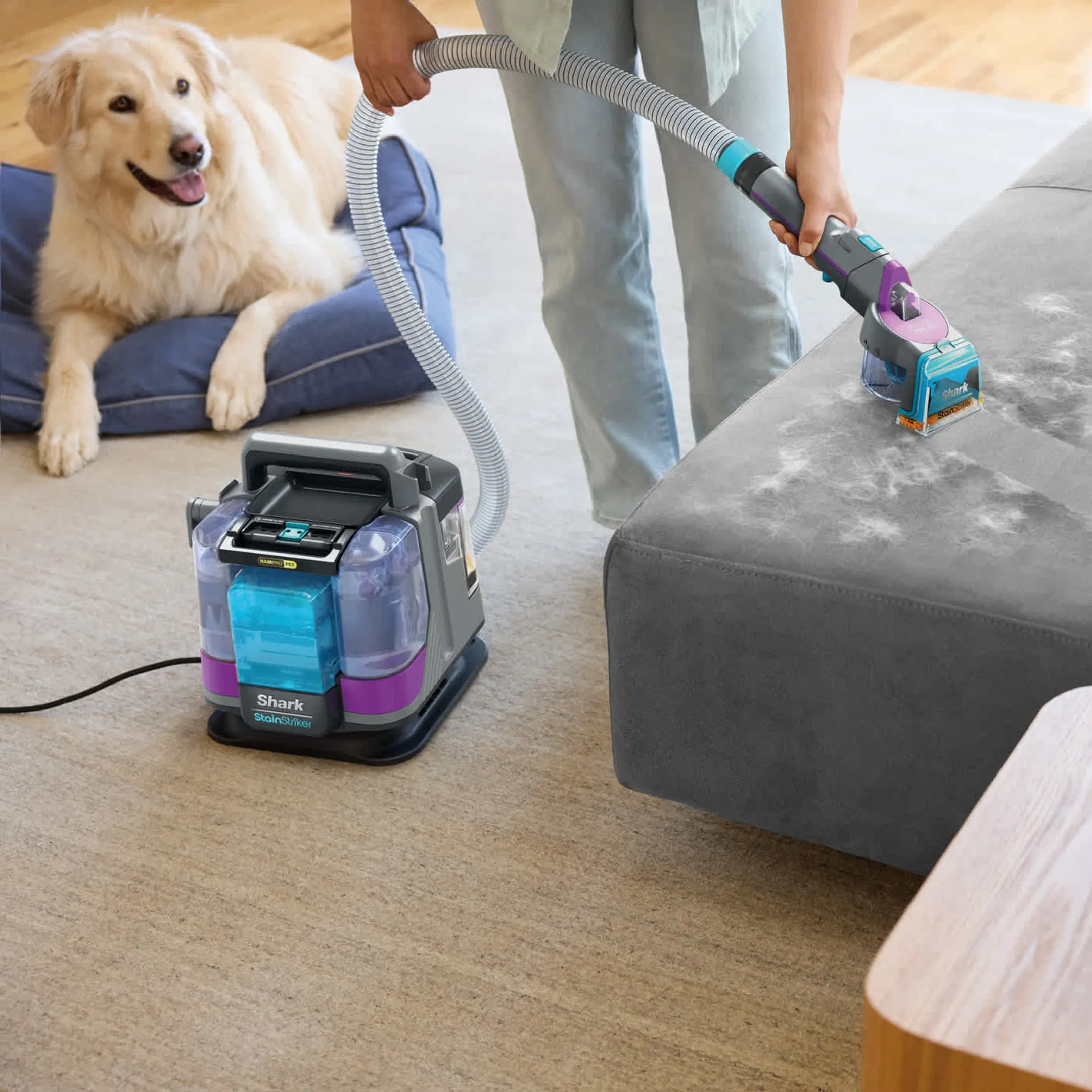 Shark Tapijtreiniger StainStriker HairPro Pet PX250EUT