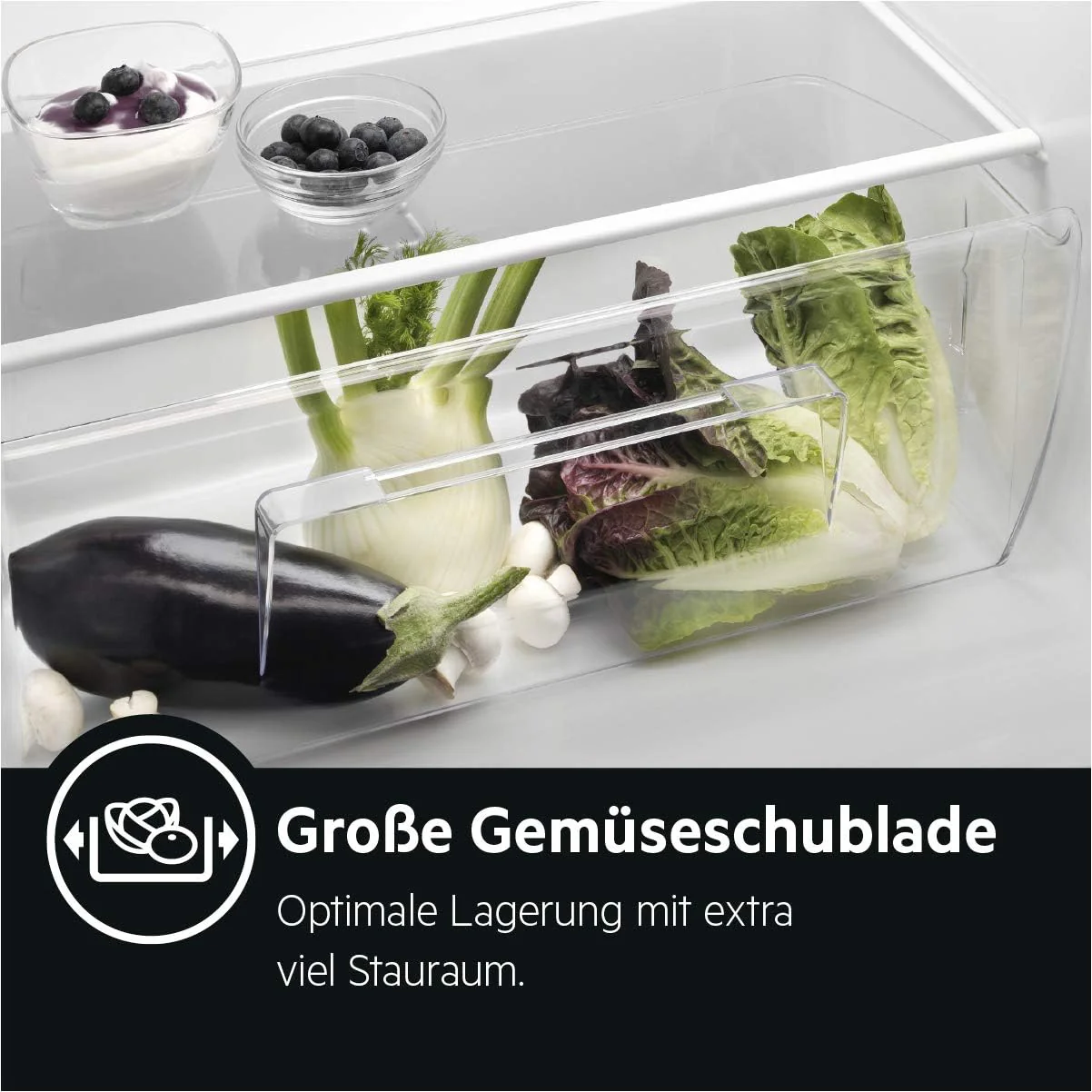 AEG TSK5O881ES Inbouwkoelkast / 880 mm / 142 L / Sleepdeur / E