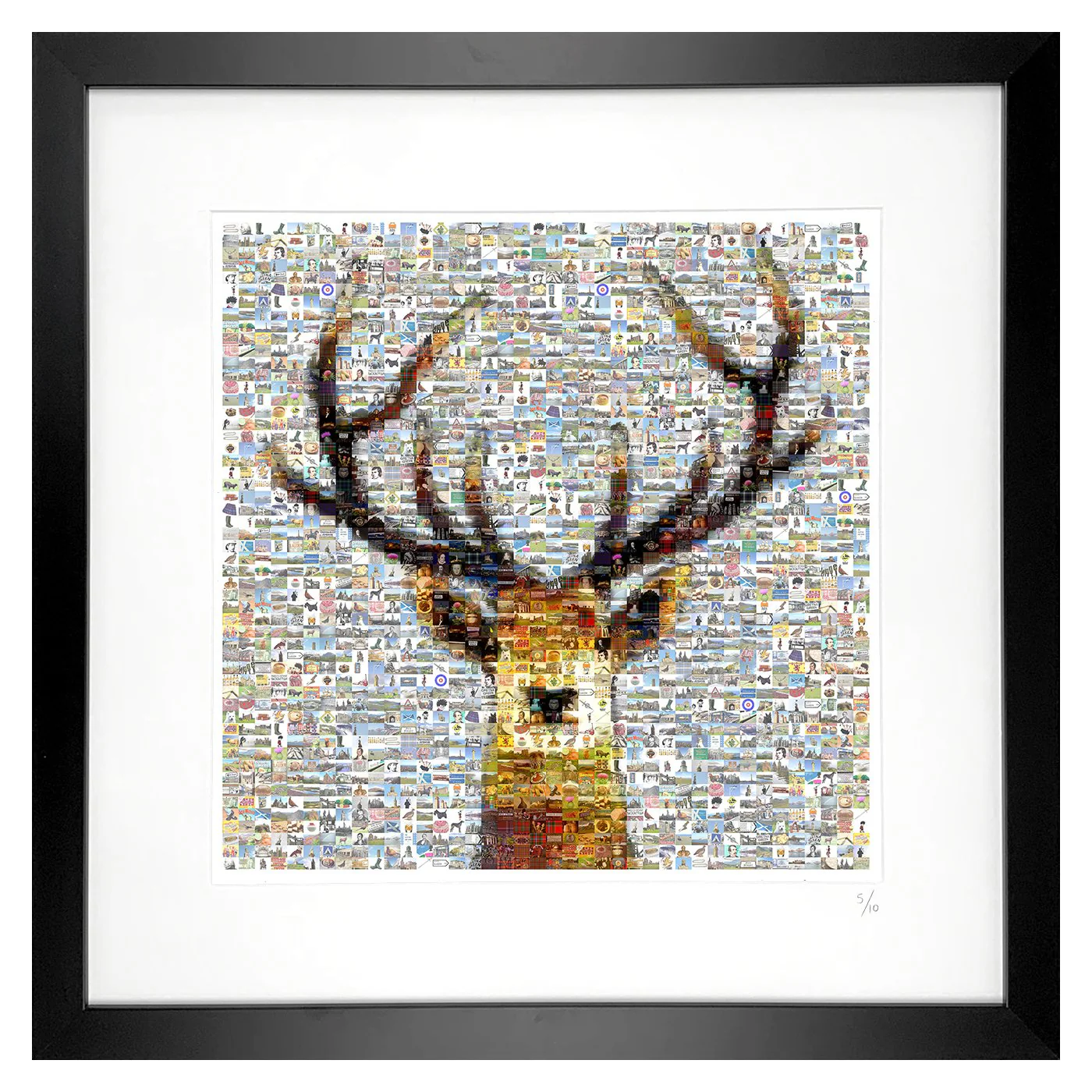 Scottish Stag
